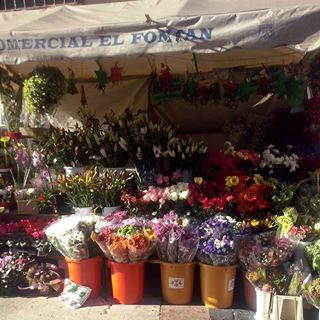 Flores Sara FLORISTERIAS Flores Sara FLORISTERIAS